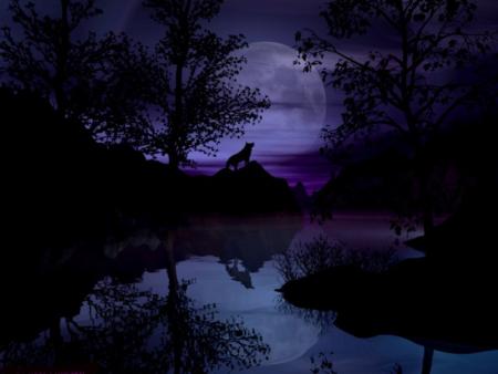 wouuuuuuuuuuuu  le loup   !!!